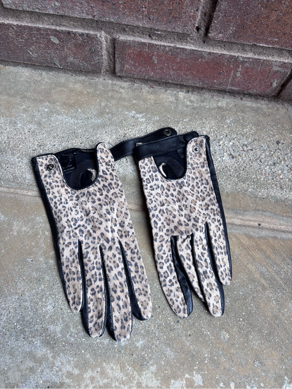 Guess Leopard Print Driving Gloves with Black Trim